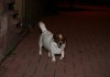 IMG_5857-lesotlylaisse